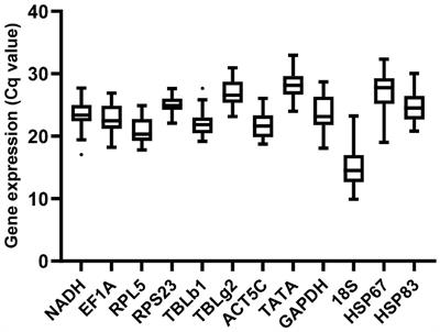 Validation of Potential Reference Genes for Real-Time qPCR Analysis in Pharaoh Ant, Monomorium pharaonis (Hymenoptera: Formicidae)